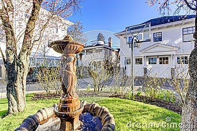 Beautiful fountain statue in backyard garden