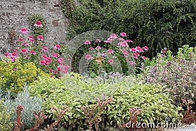 Beautiful herbs garden bed