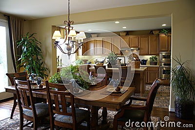 Beautiful Kitchen and Dining Room