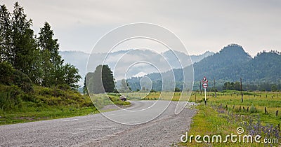 Forest with mountain and car on road
