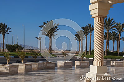 Beautiful marble column on a background of palm trees