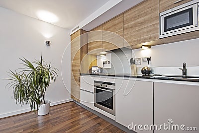 Beautiful modern kitchen