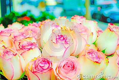 Beautiful pink red roses flowers at a parisian flower store