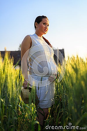 beautiful pregnant asian woman rice field affectionately holding her belly newly planted cloudy sky background image 47041381