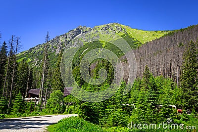 Beautiful scenery of Tatra mountain