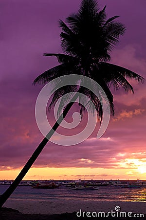 Beautiful sunset at tropical beach with palm trees