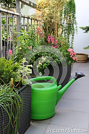 Beautiful terrace with a lot of flowers