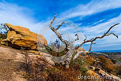 A Beautiful Wild Western View with a Gnarly Dead Tree, a View of Turkey Peak on Enchanted Rock, Texas.