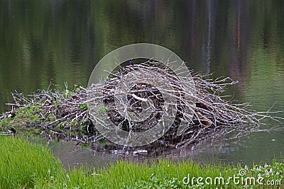 Beaver House