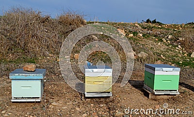 Bee hives