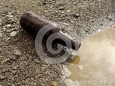 Beer Bottle on the ground