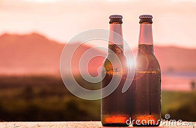 Beer Bottles