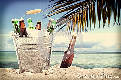 Beer bottles in a bucket of ice Tropical Instagram