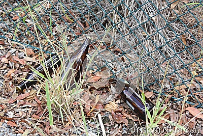 Beer Bottles dumped near a fence