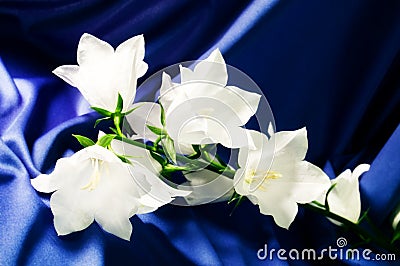 Bell flowers on a blue silk