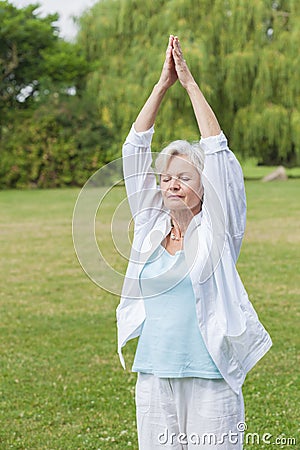 Best ager women practising yoga ant tai chi