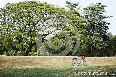 Bicycle or bike in the park