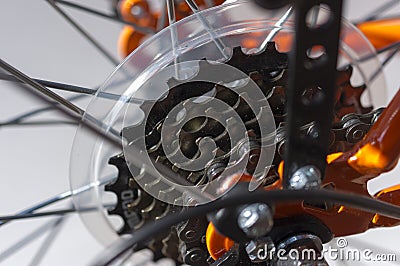Bicycle Detail.