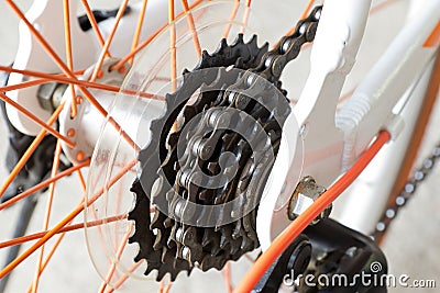 Bicycle gears mechanism on the rear wheel