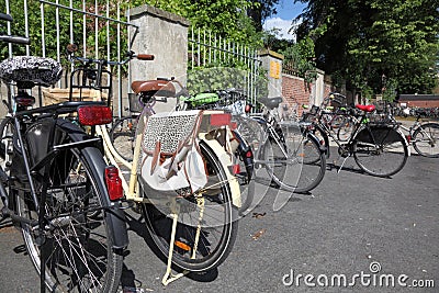 Bicycles in the city of Munster, Germany