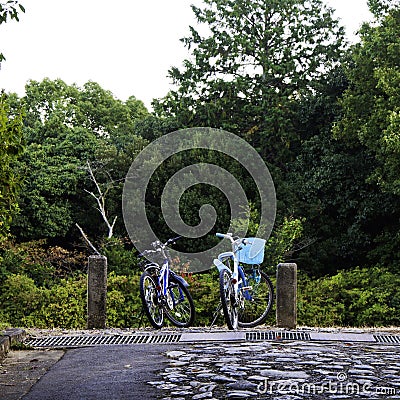 Bicycles of couple