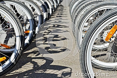 Bicycles parked on the street