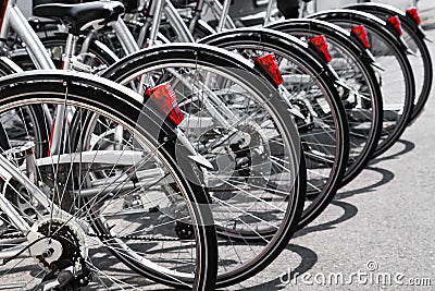 Bicycles stand in a row