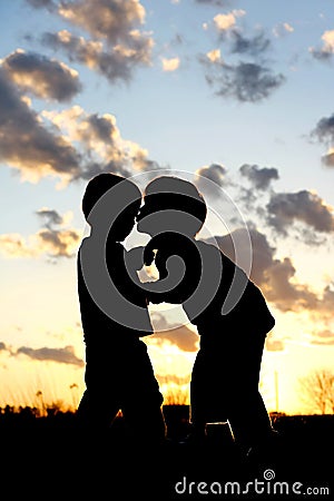 Big Brother Kissing Baby Silhouette at Sunset