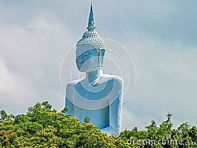 Big Buddha at Don Sak District