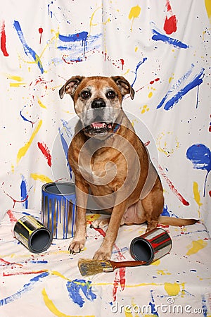 Big dog and paint cans