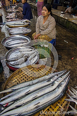 A big fish in MYANMAR - BURMA