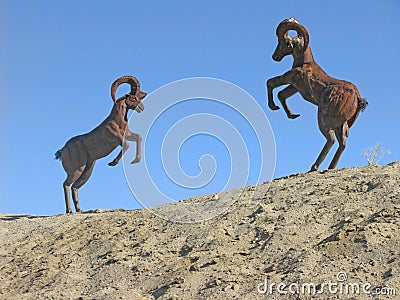 Big Horn Sheep - Metal Sculptures