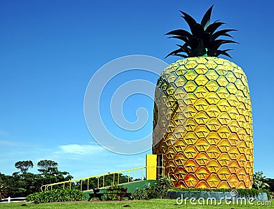 The Big Pineapple, Summer Hill Farm