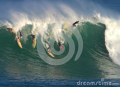 Big Wave Surfing in Hawaii