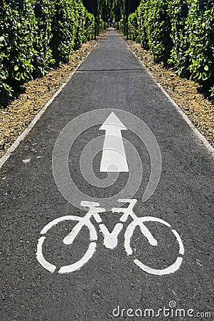 Bike road