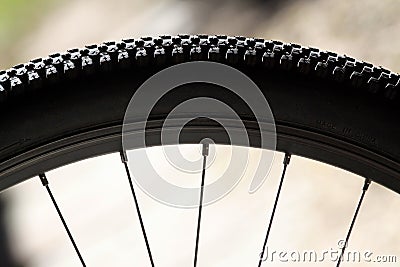 Bike Tire and Spokes