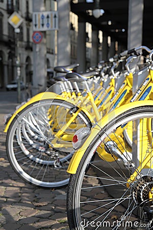 Row of yellow bicycles