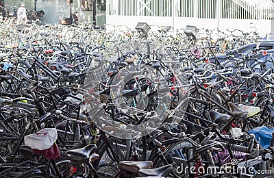 Bikes of Amsterdam