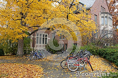 Bikes on Fall College Campus