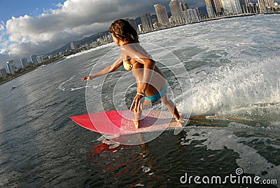Bikini surfer girl surfing