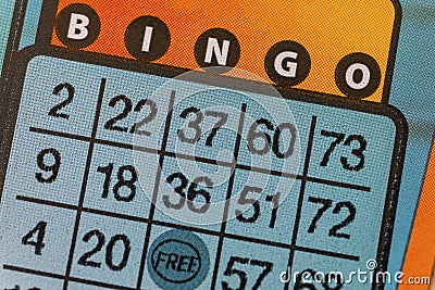 Bingo Lottery Scratch Ticket