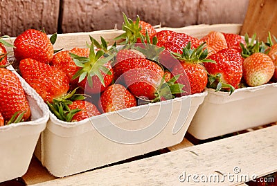 Bio strawberry