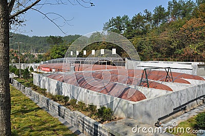 Biogas engineering
