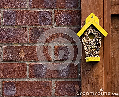 Bird seed in the shape of a house