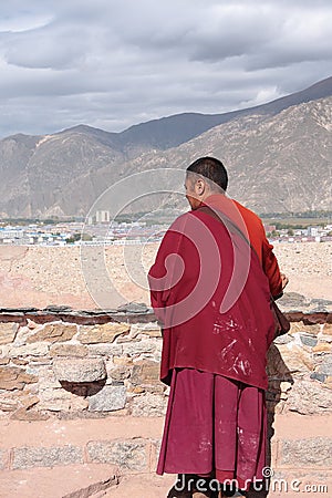 Bird view of Lhasa from The Potala Palace