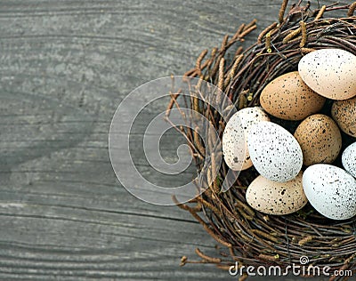 Birds eggs in nest on wooden background