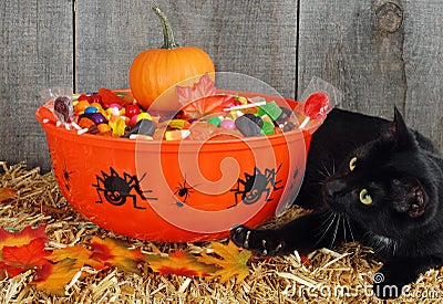 And Black Halloween Candy