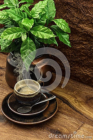 Black coffee and fresh plant on wooden table