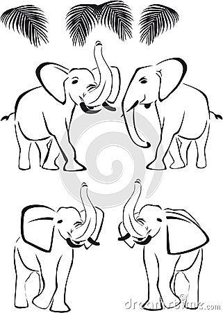 Black elephant, trunk up and down, wild animals