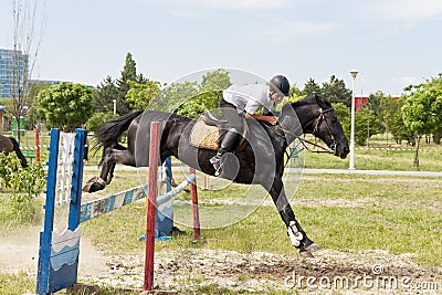 Black horse jumping an obstacle